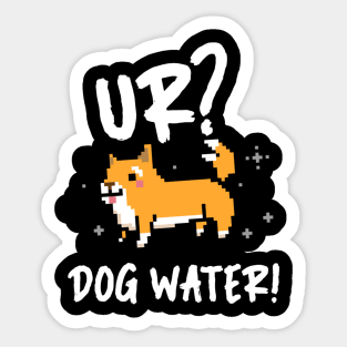 Ur Dog Water? 1.0 Sticker